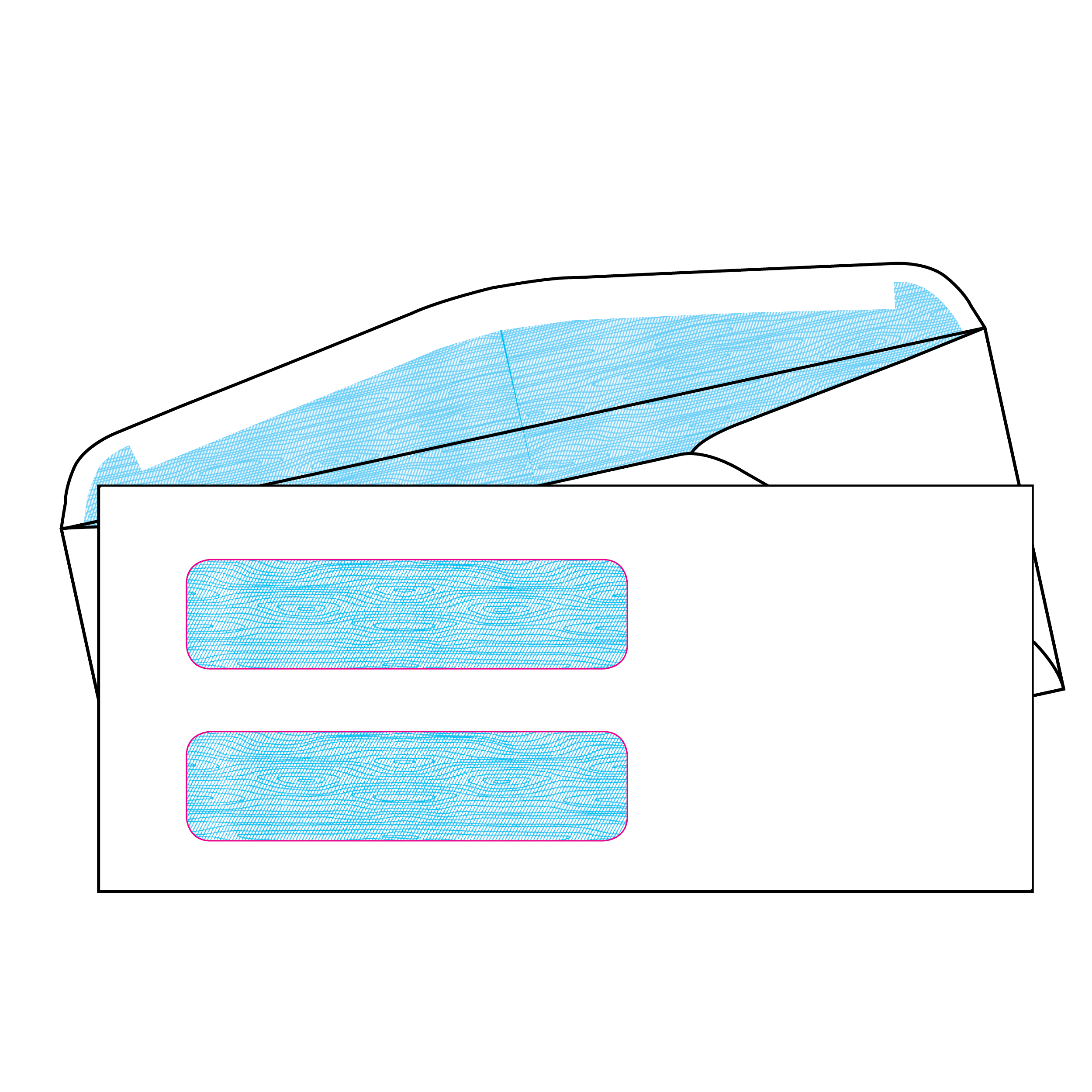 #10 Standard Double Envelope with Security Inside Tint​