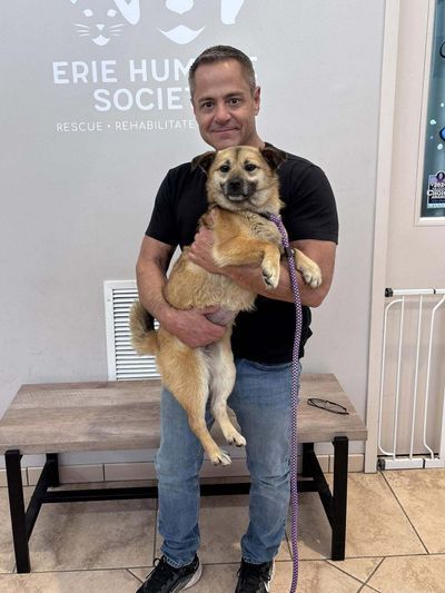 Lucky the dog pictured with her rescuer.