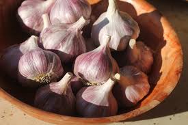 Music Garlic