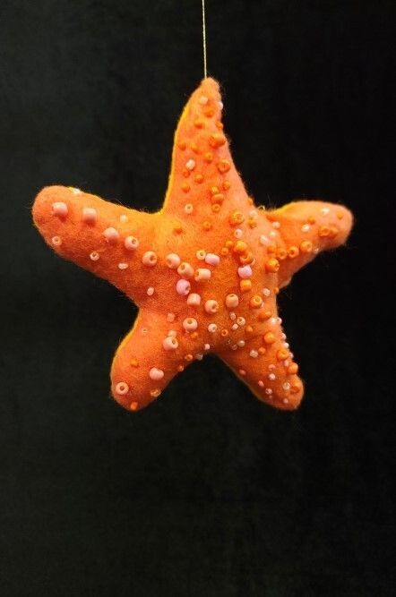 Starfish 1 - Jess Davila