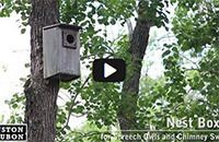 Nest Boxes for Screech-Owls and Chimney Swifts