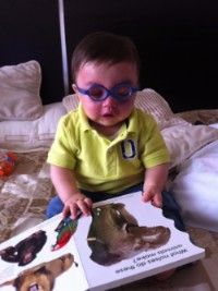 Toddler boy looking at an elephant book and wearing think blue glasses