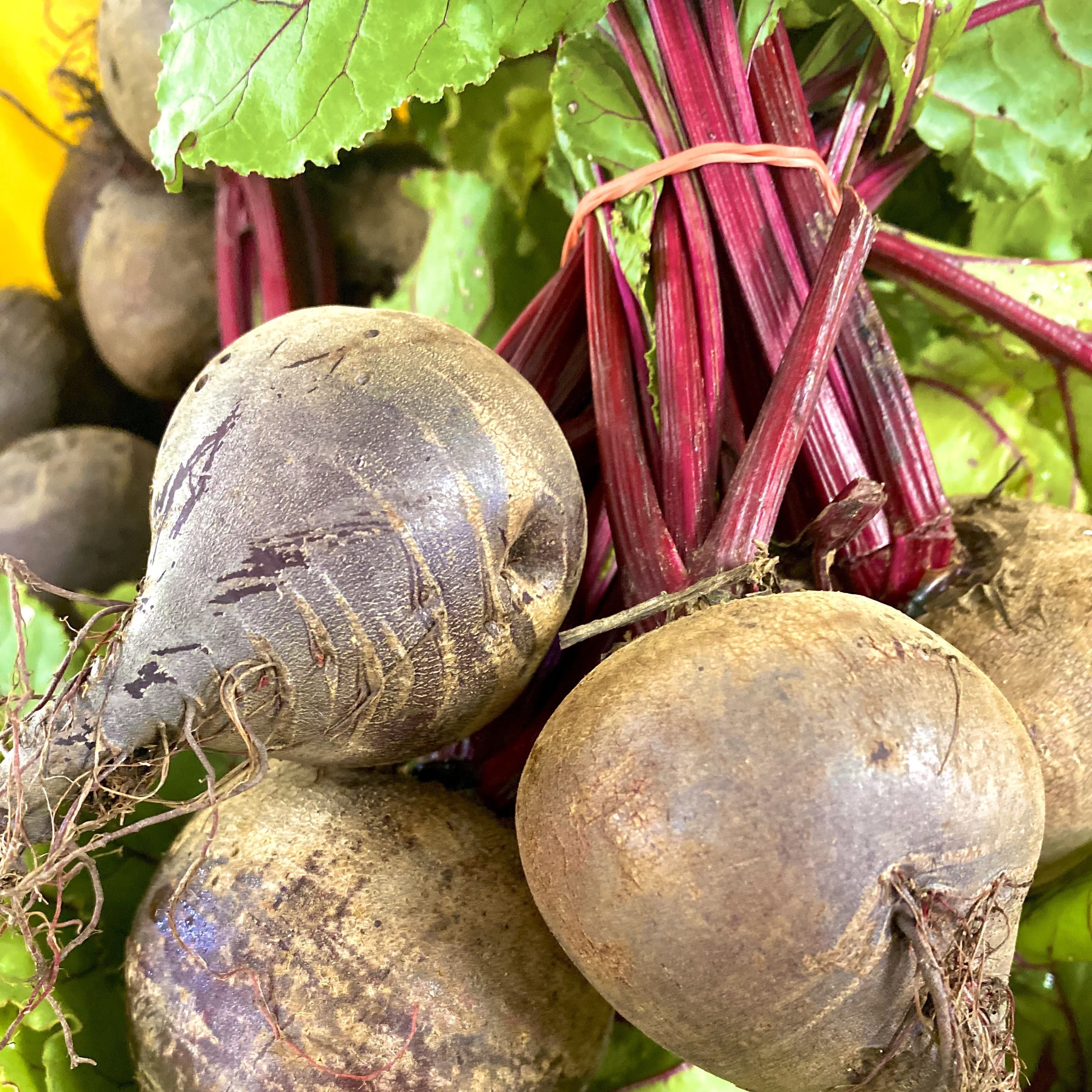 Beets