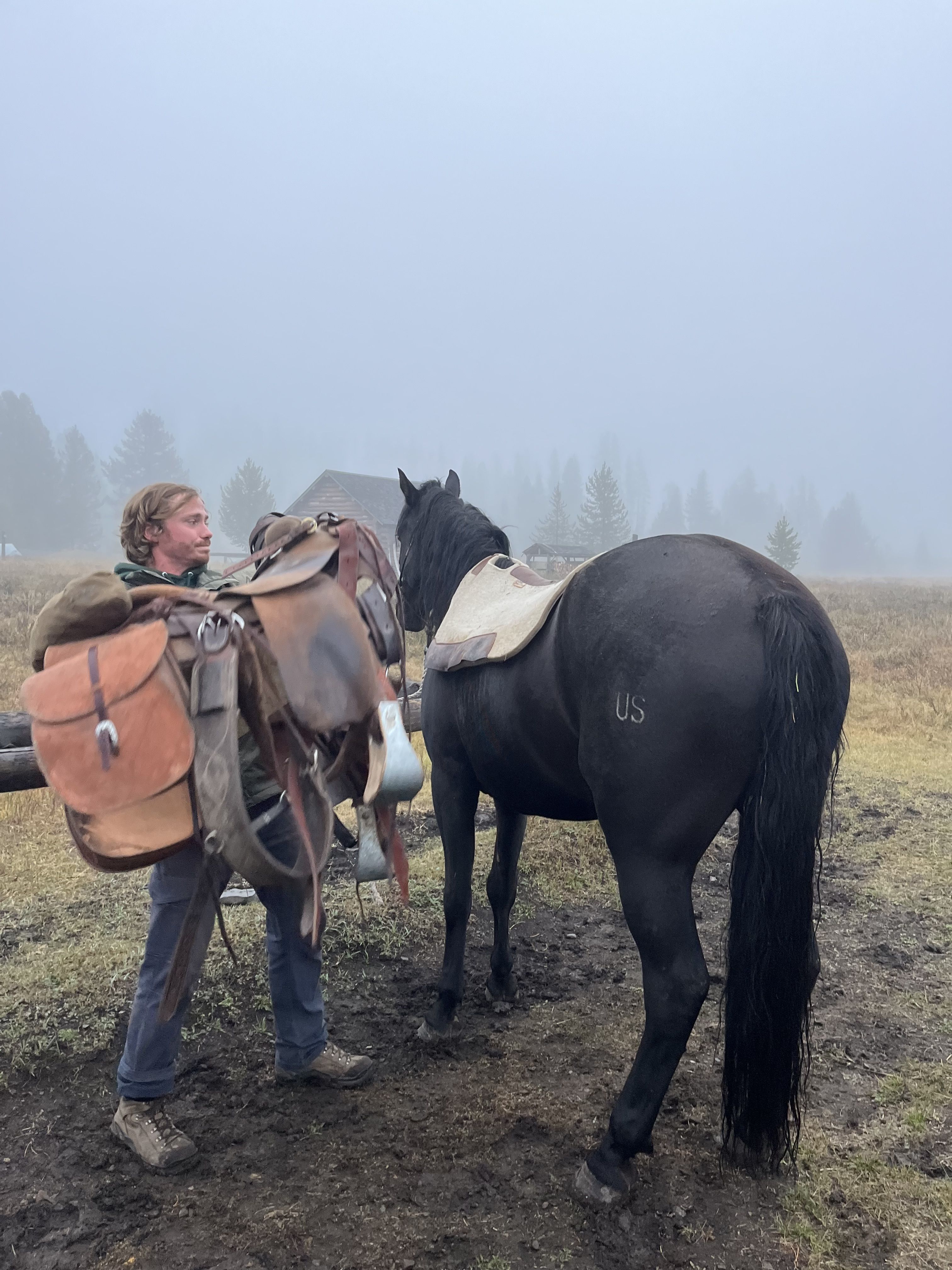 A crew member hefts a saddle and blankets onto an awaiting black mule, hitched to a fence.