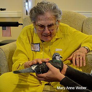 Patient stroking a pigeon