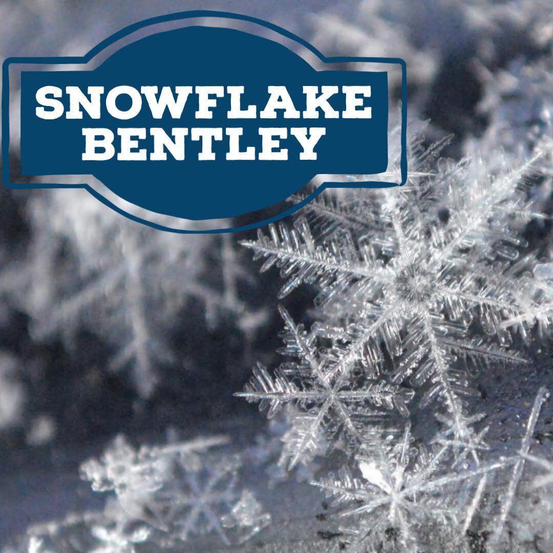 Snowflake Bentley and the Science of the Snow Crystal