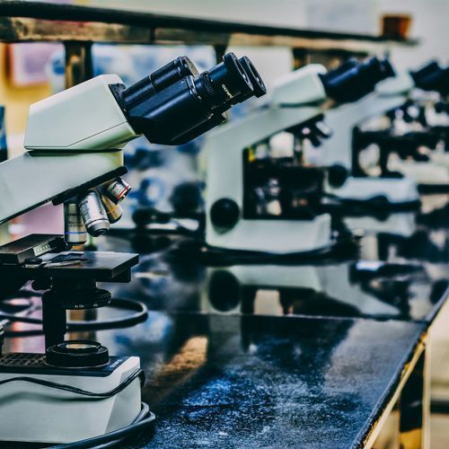 KDA Announces Over $900,000 in Grants and Fellowships