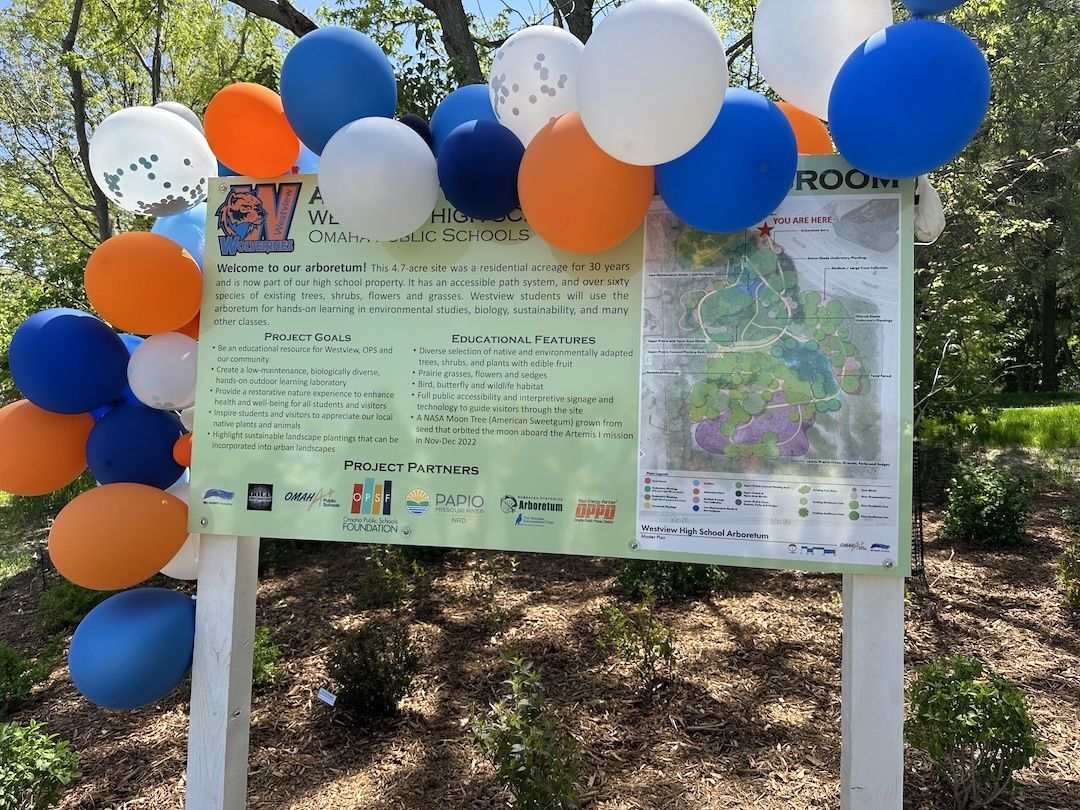 High School Graduates