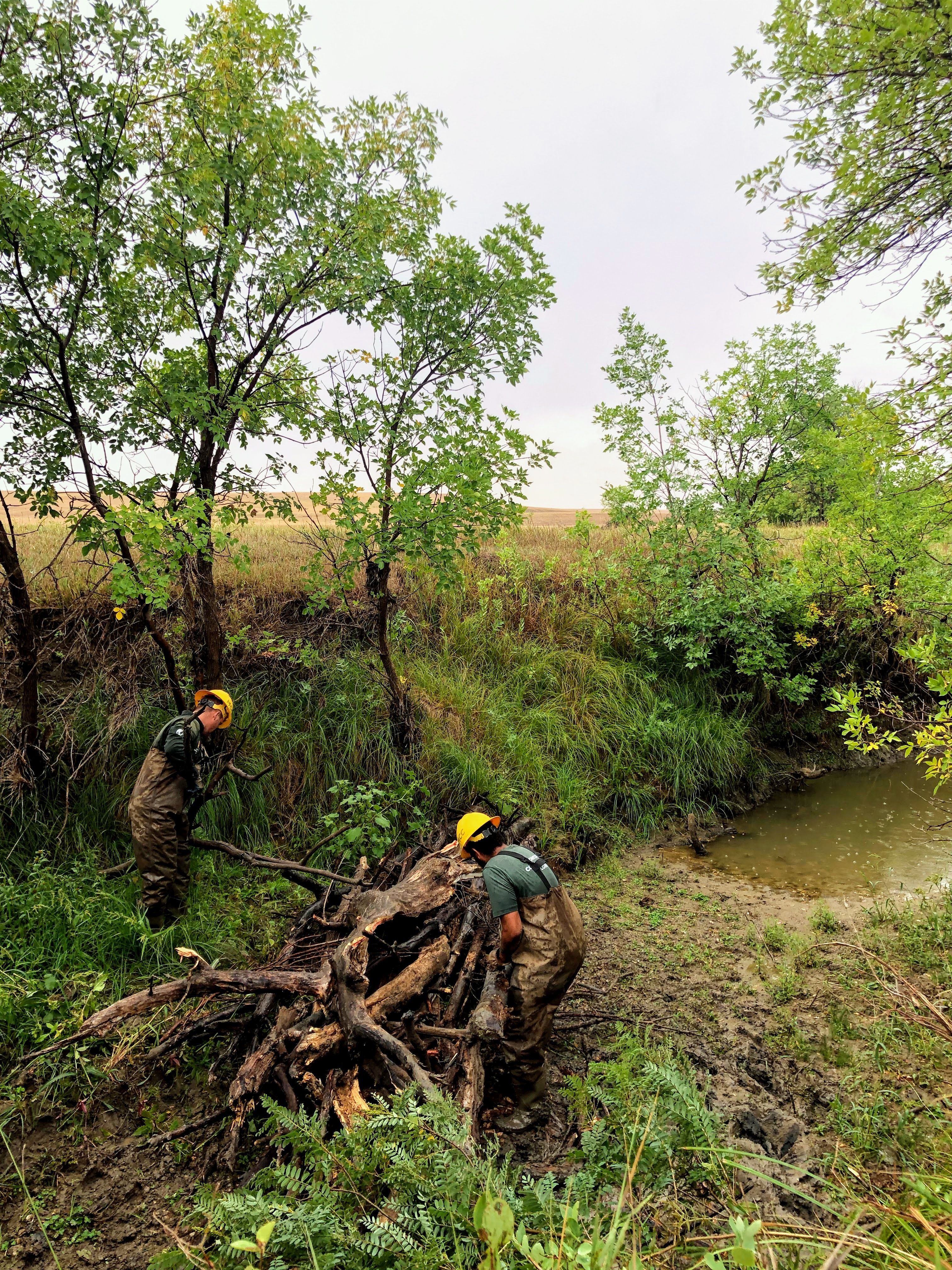 A crew drags a large log towards a stream