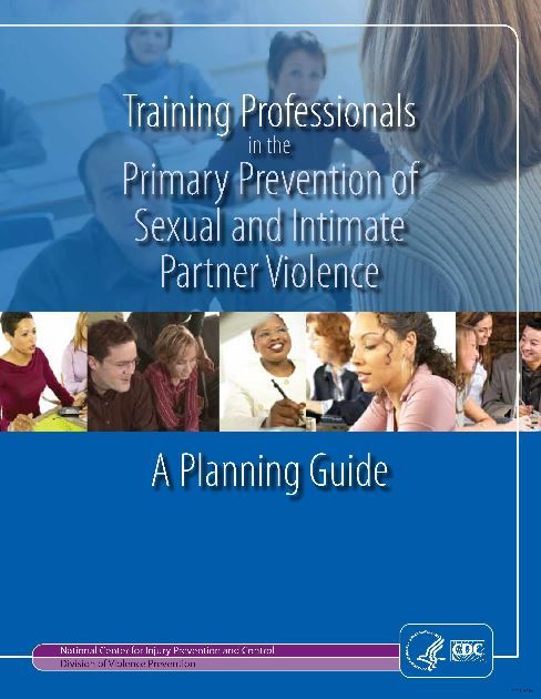 Training Professionals in the Primary Prevention of Sexual and Intimate Partner Violence: A Planning Guide (2010) 