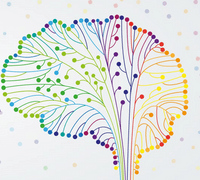 Hermann Darrow Human Neuroscience Lab