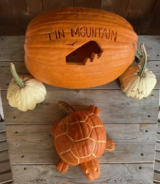 Festive Fall at Tin Mountain!