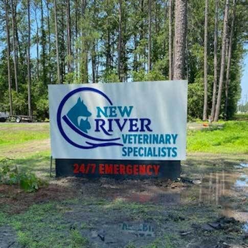 NEW-RIVER-VET-SPECIALISTS	