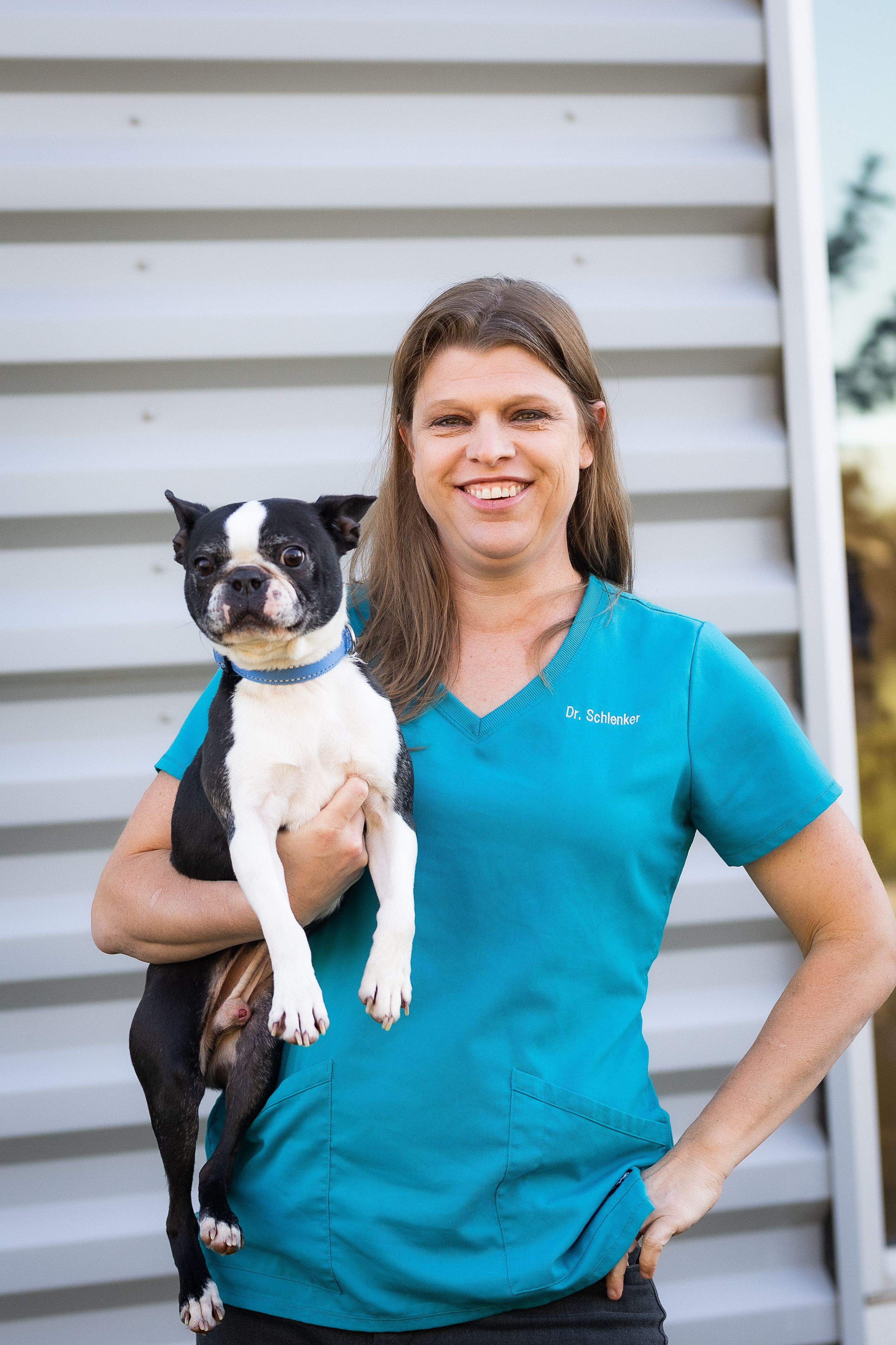 KRISTEN SCHLENKER, DVM