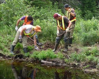 Chapter Volunteers Restoring a Stream Bank