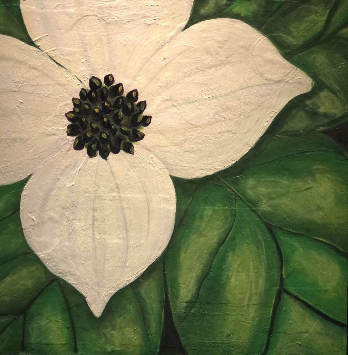 Cameo McRoberts - Dogwood