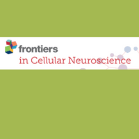 Fighting for Recovery on Multiple Fronts: The Past, Present, and Future of Clinical Trials for Spinal Cord Injury 