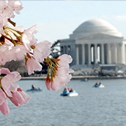 Washington DC Springtime Hub Tour