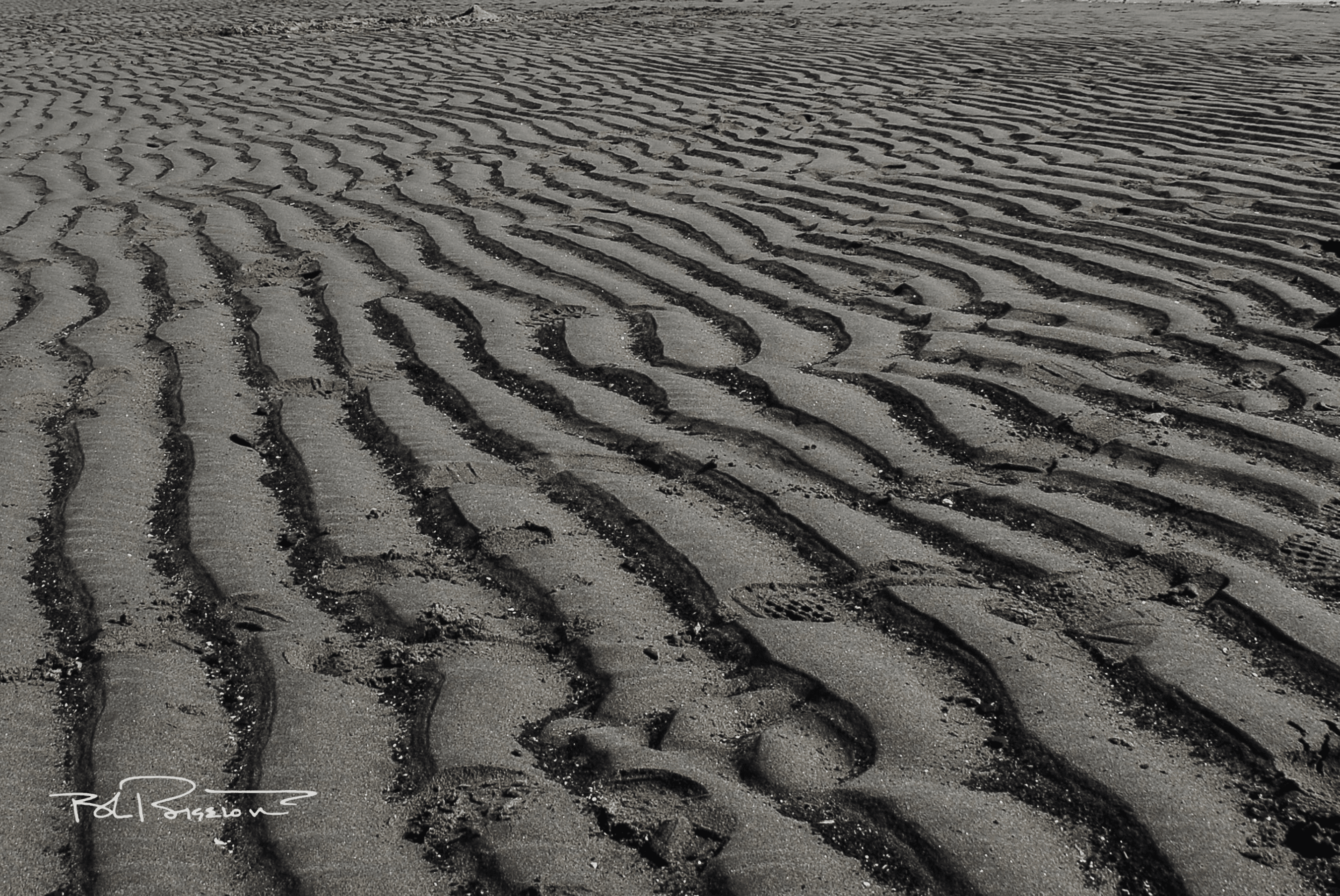 Sand Wave #1