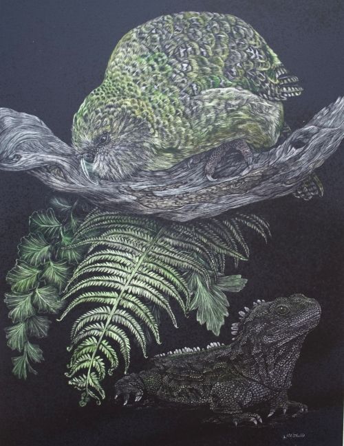 Kakapo - Tuatara