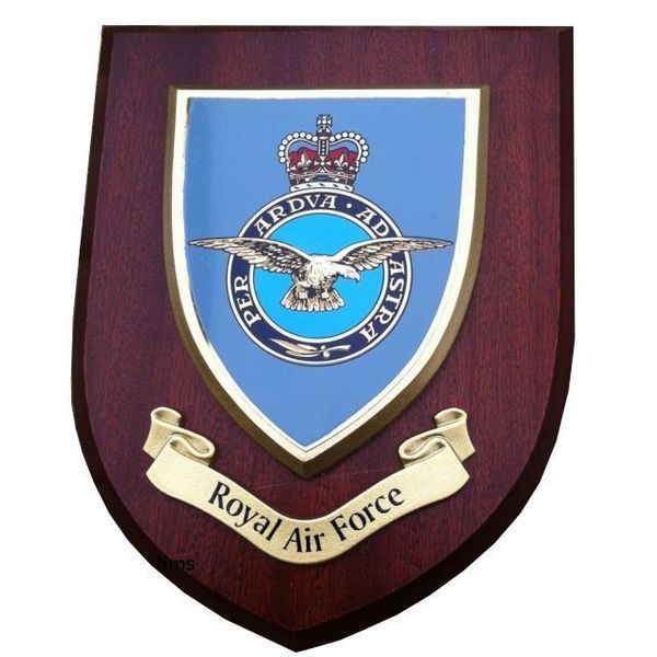 3D Painted, Wood, Bronze, Brass, Silver Air Force Plaques