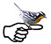 Birding Classes:  Shorebirds @ Edith L. Moore Nature Sanctuary | Houston | Texas | United States