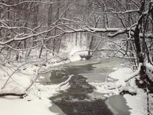 Daily Prayer December 4