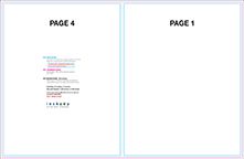 4 Page Newsletter