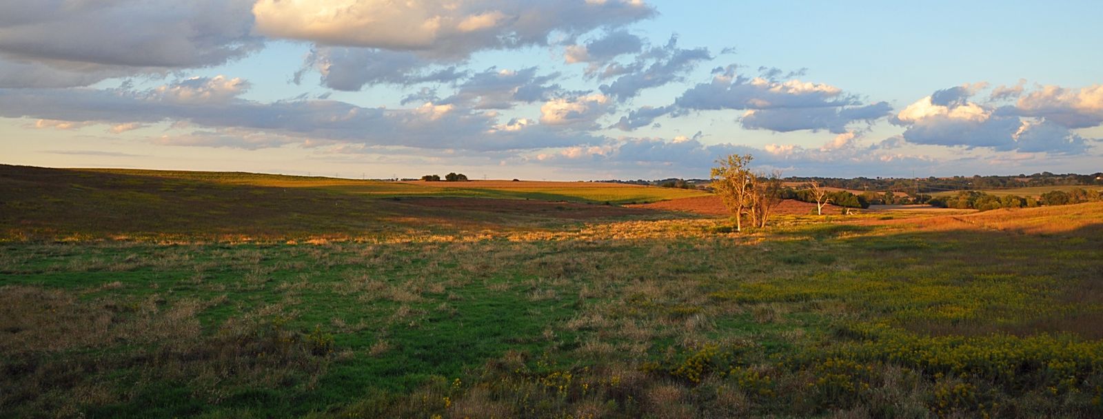 Home Audubon Society of Omaha
