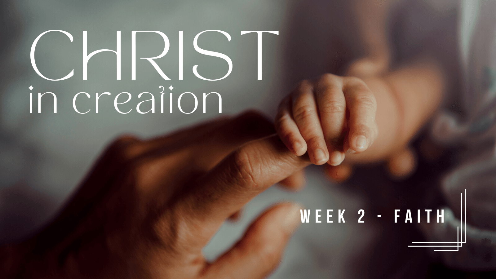 Christ in Creation Week Two: Faith