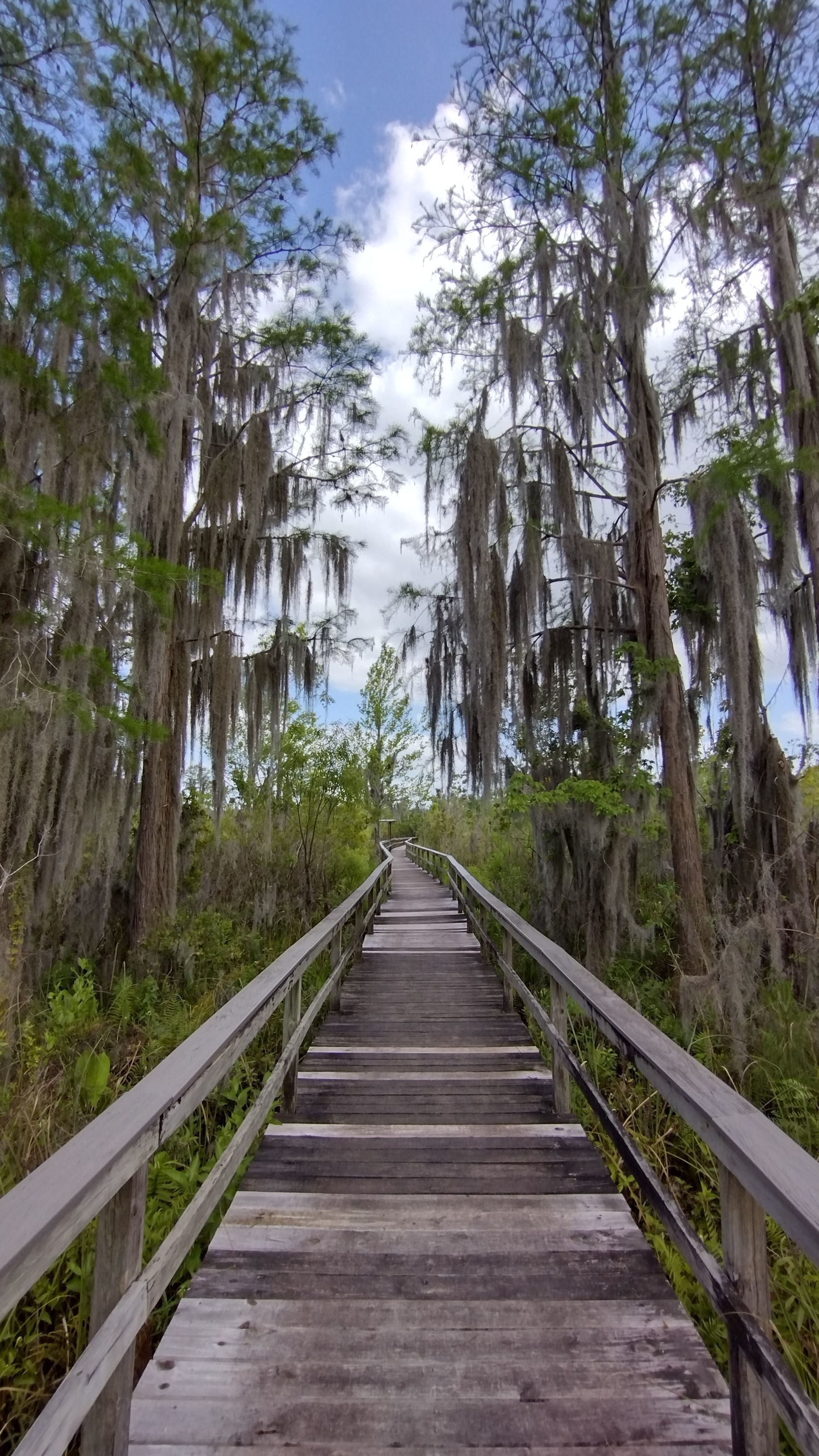 photo of boardwalk