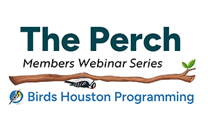 The Perch