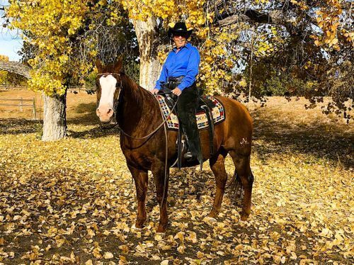 Sandy Benson and Floyd (NM)