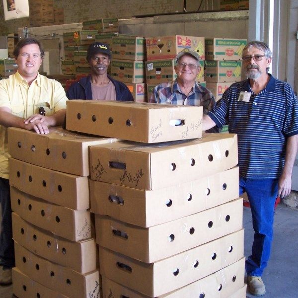 The beginning - Pig Project 