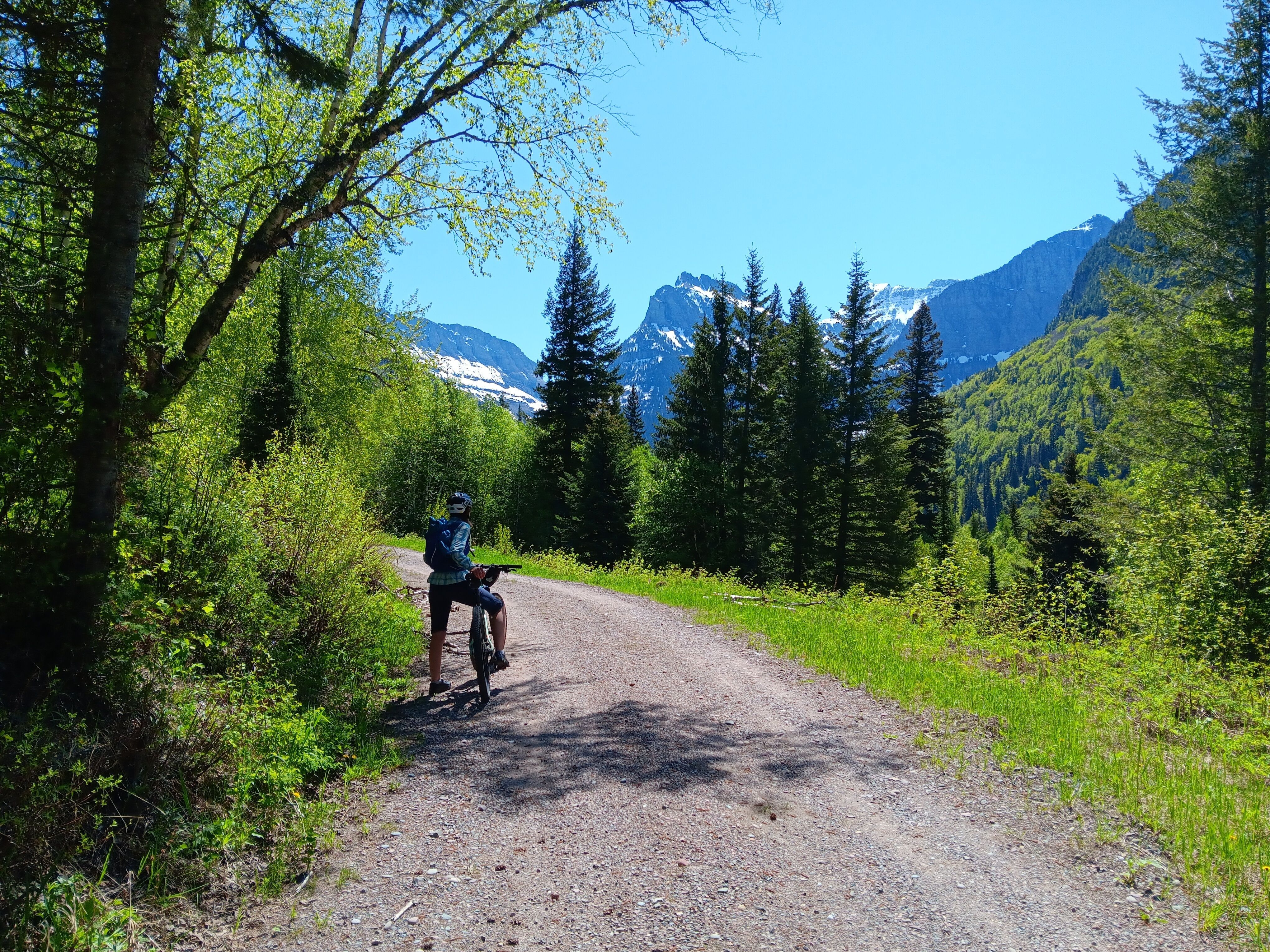MT-Cyclist on trail