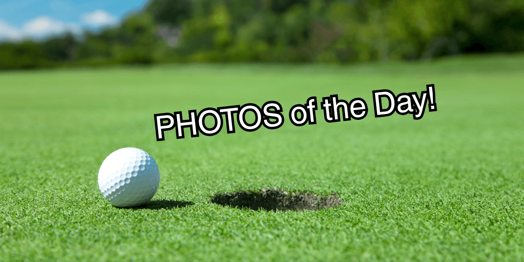 Golf ball on a green course. 