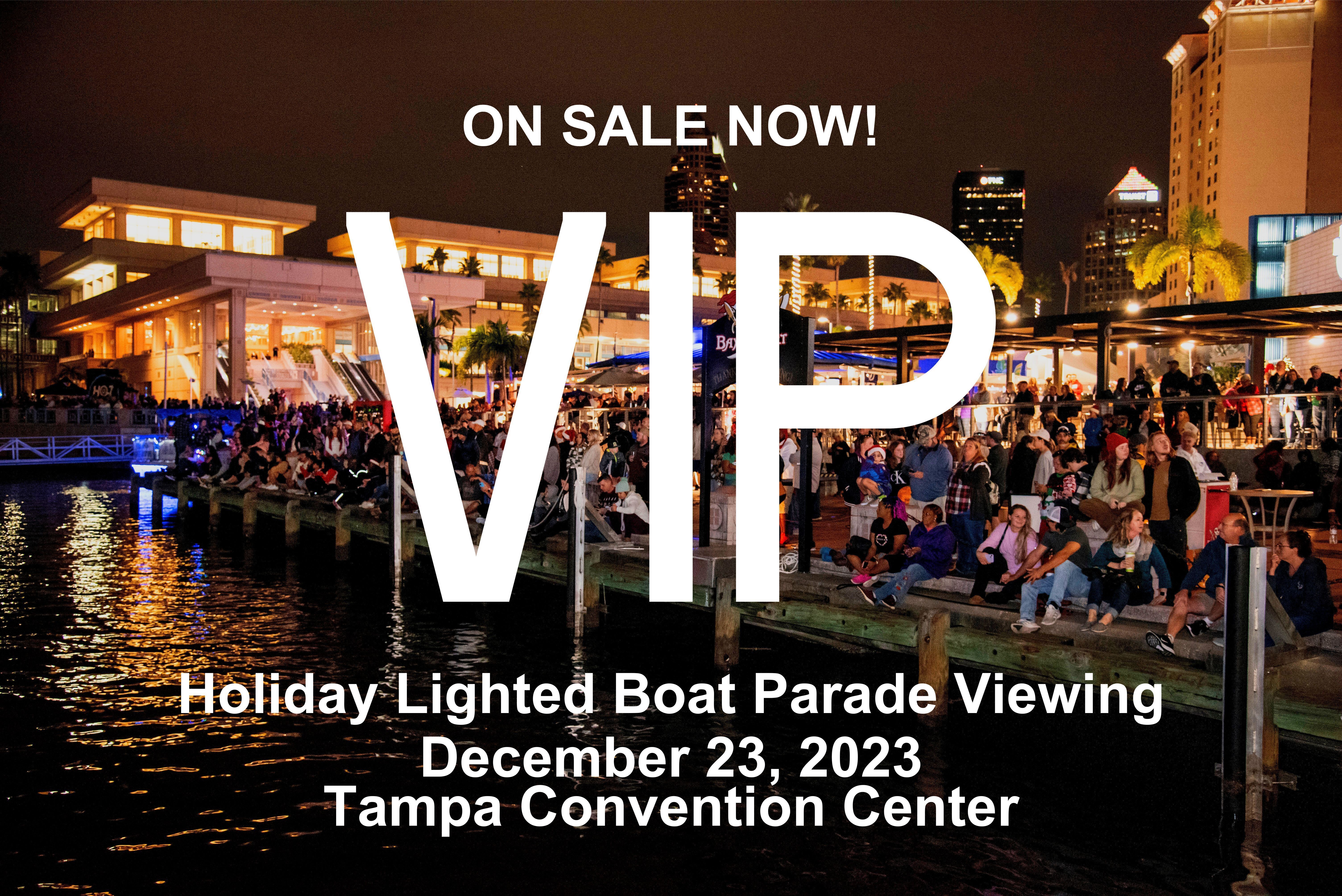 VIP at Holiday Lighted Boat Parade (View from land)