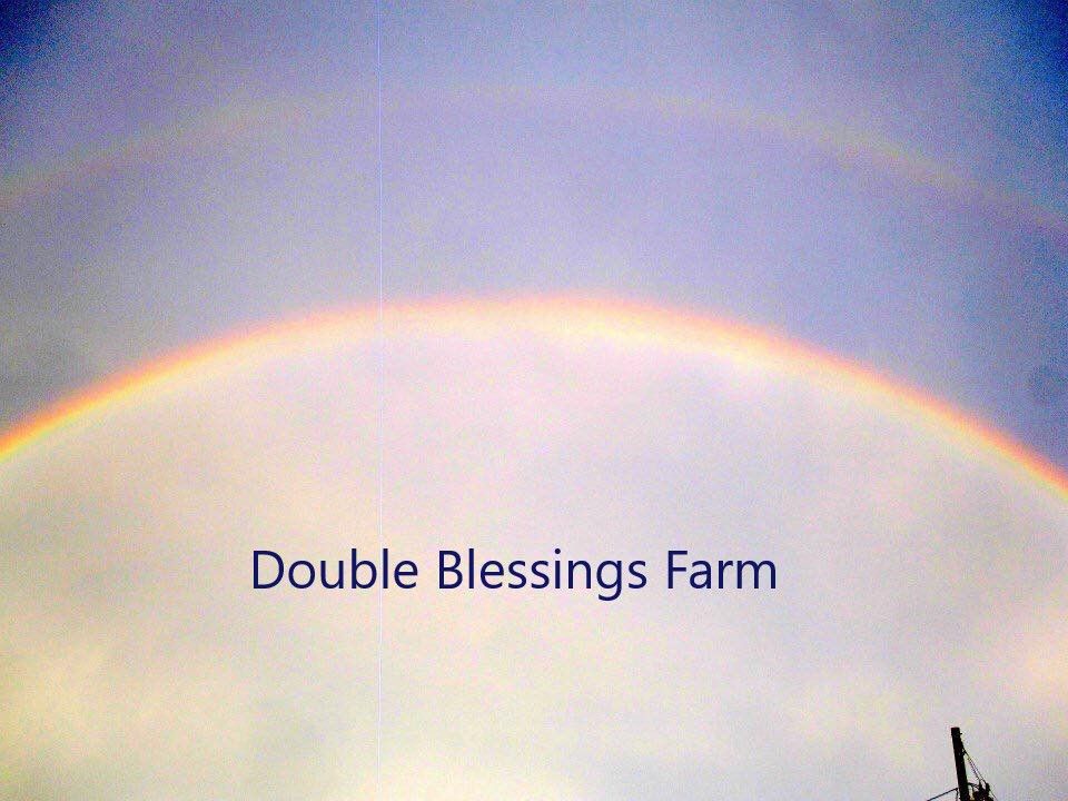 Double Blessings Farm 2019 Platinum CASA Champion