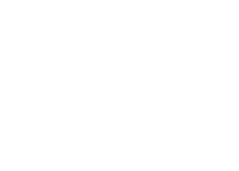 OPTION