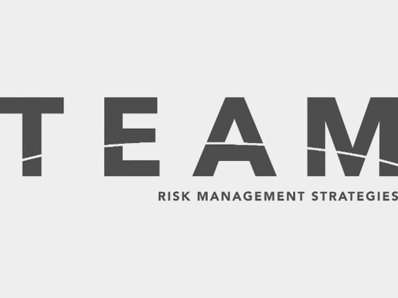 Team Risk Management Strategies