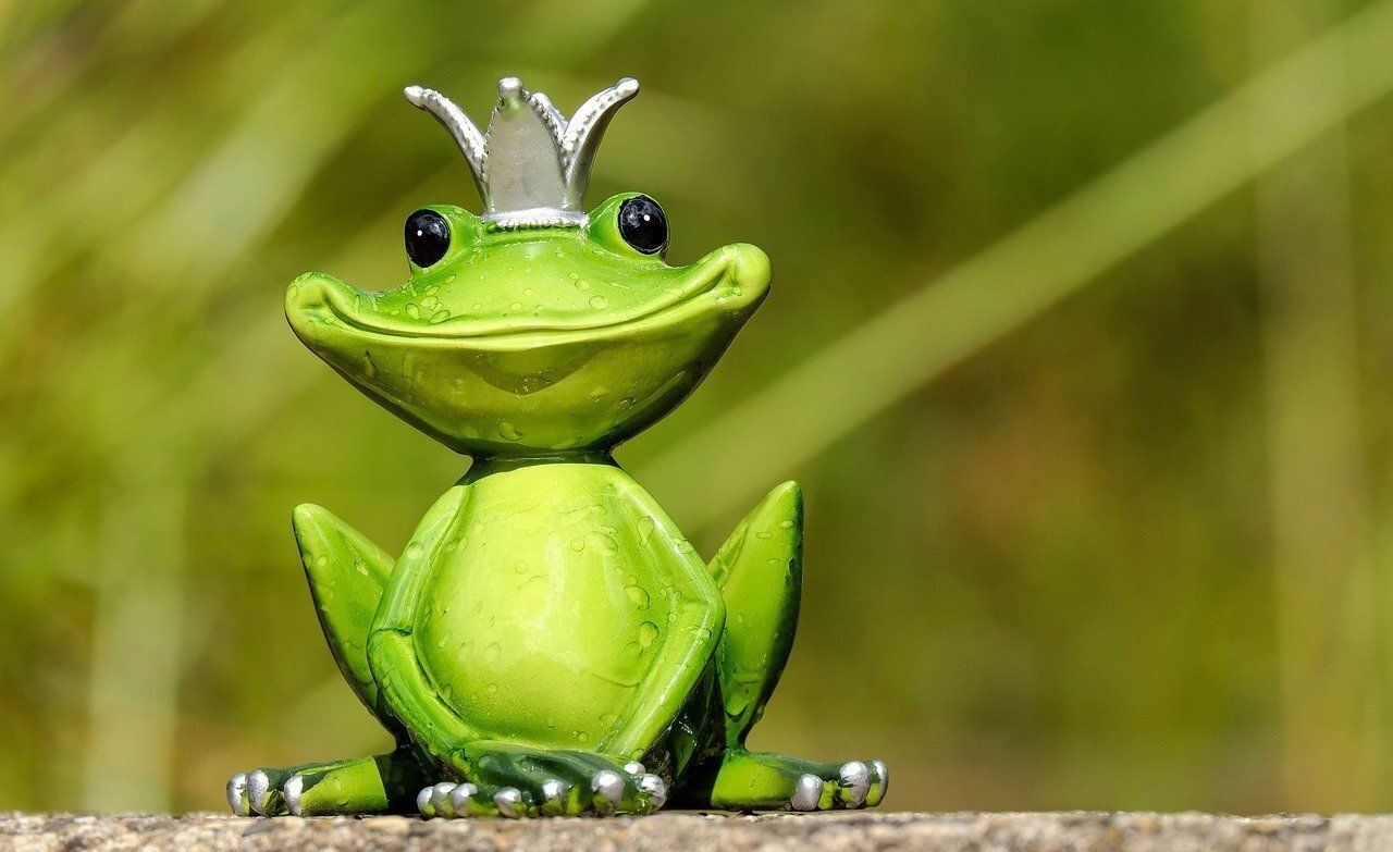 frog with a crown