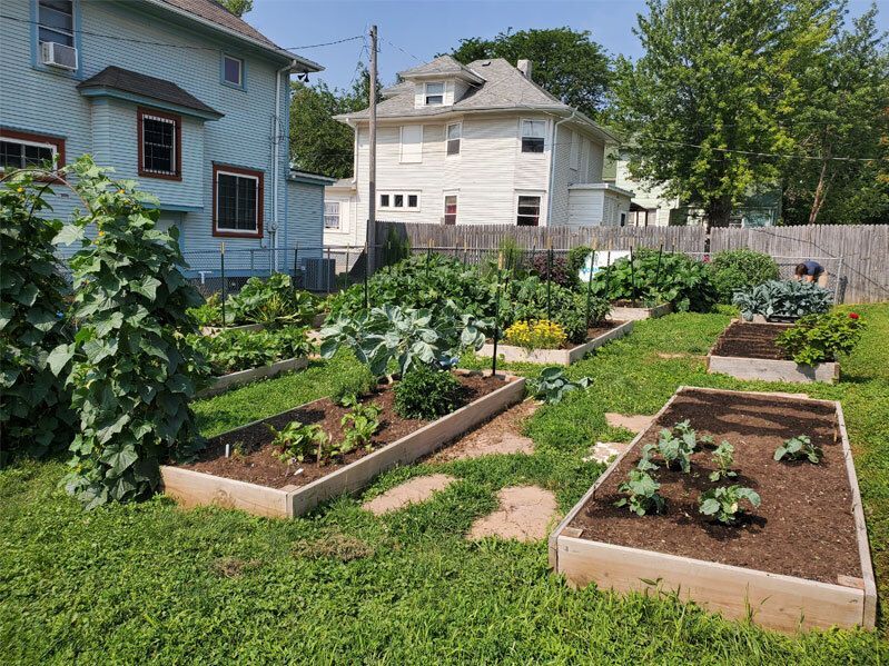 Garden