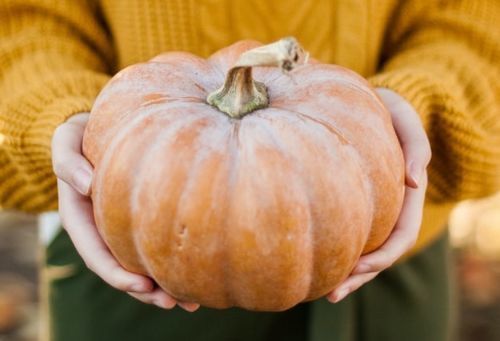 5 Ways to Give Back this Halloween