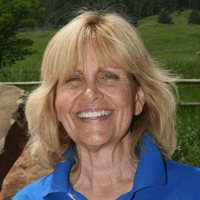 Carol Heiden, M.Ed., LPCC