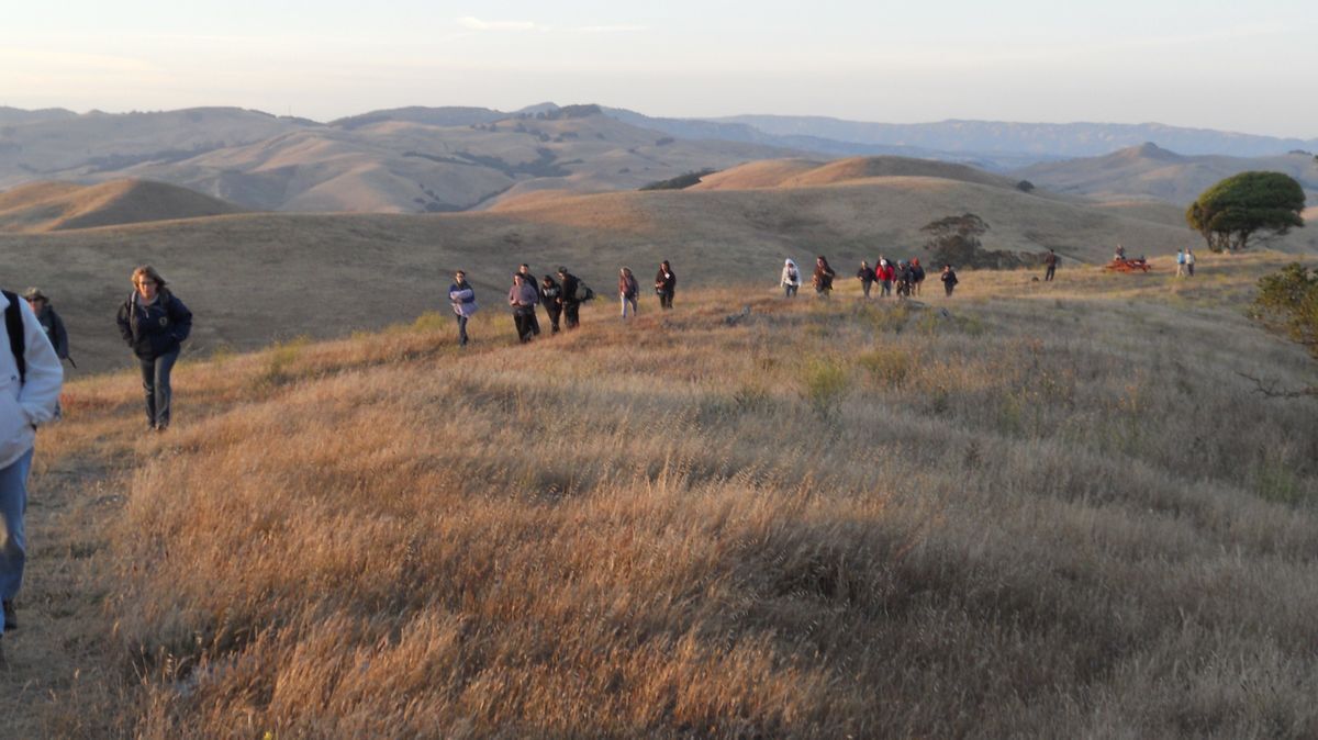 Lynch Canyon