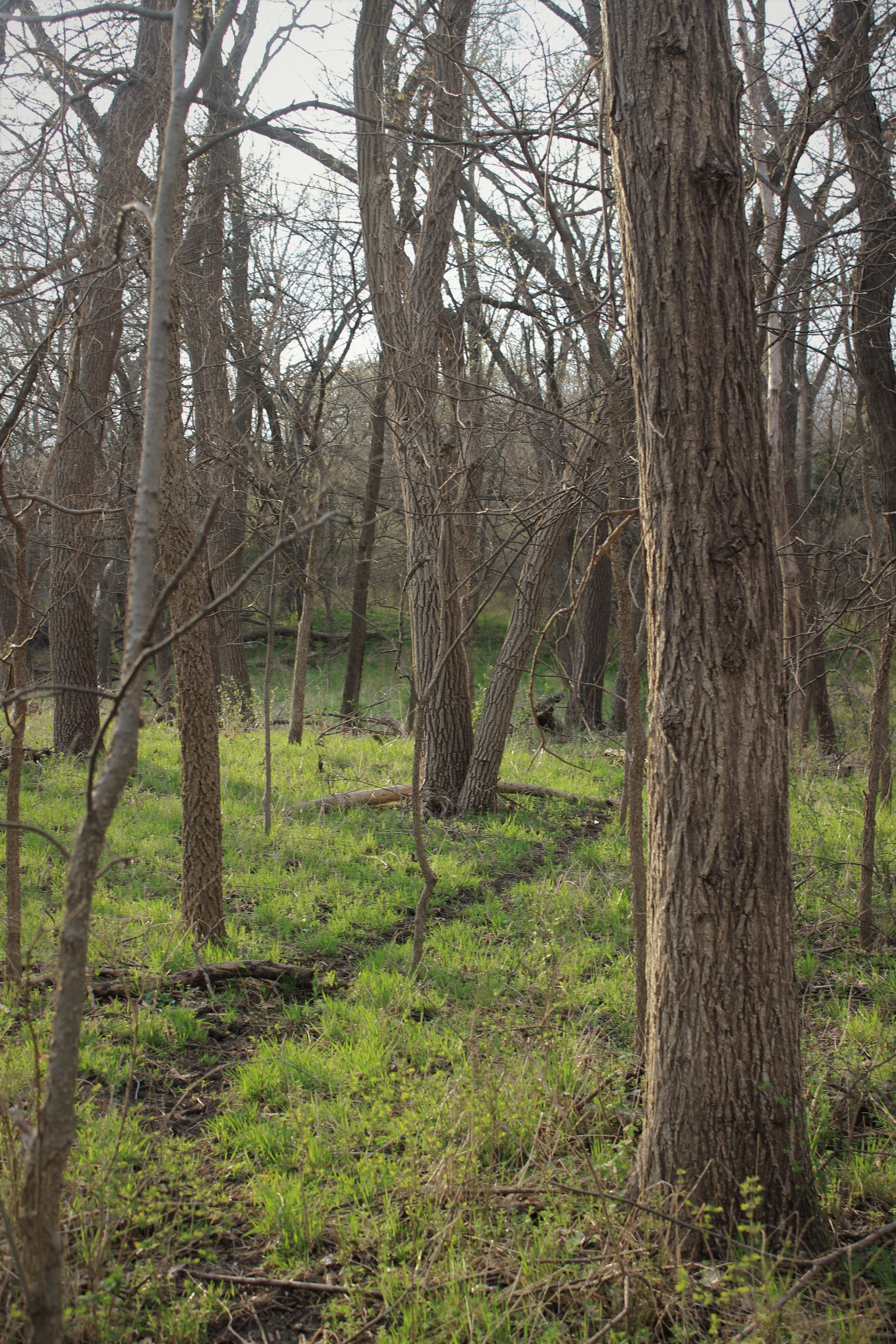 Spring Hiking Tips