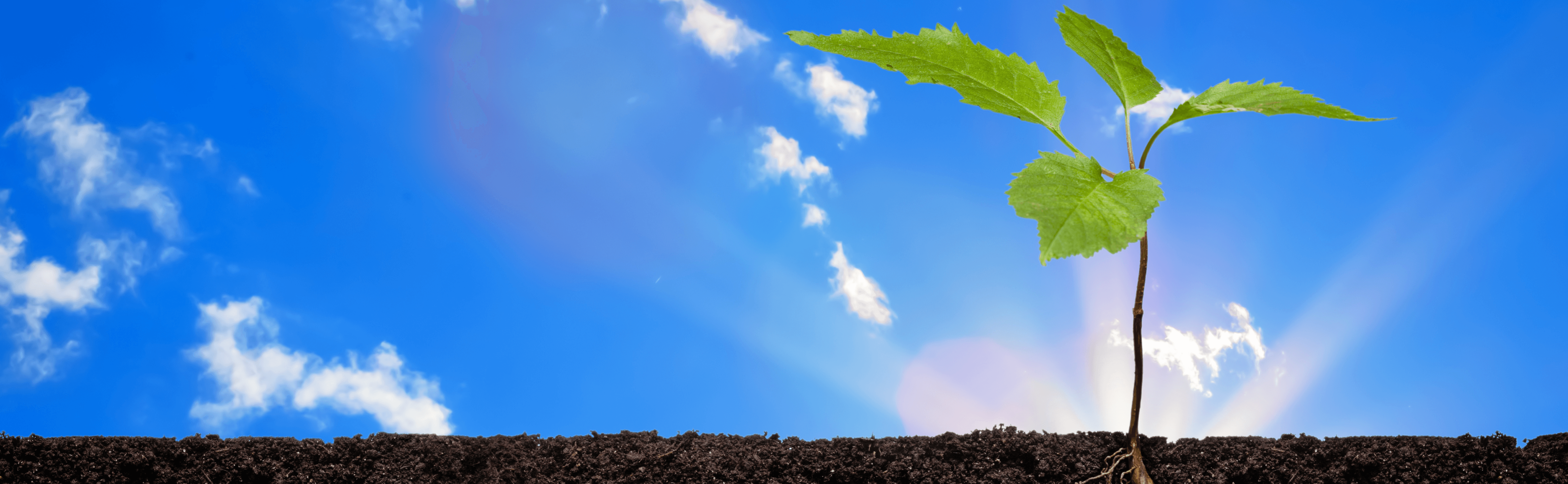 Seeds of Progress