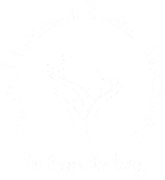 North Edmonton Seniors Association