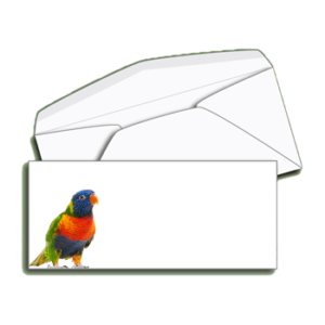 Item B10 - #10 Regular Envelope,  Full Color Printing