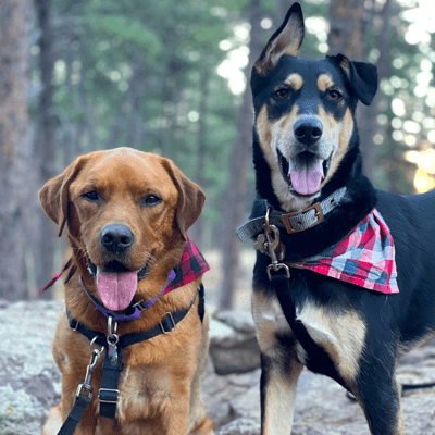 Umber & Sonny out on a hike